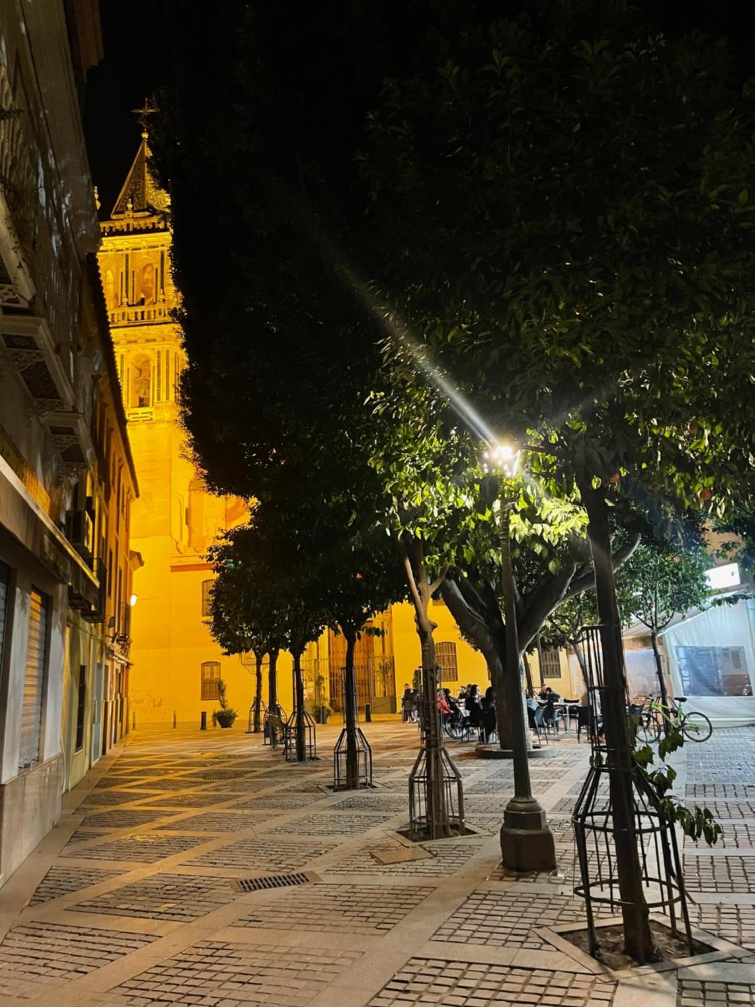 Apartamento Calle Rodrigo De Triana Con Opcion De Parking Севиля Екстериор снимка